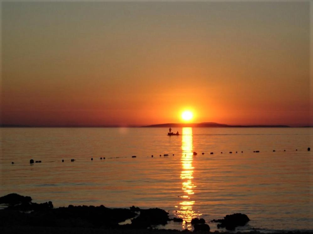 Dandy Daire Povljana Dış mekan fotoğraf
