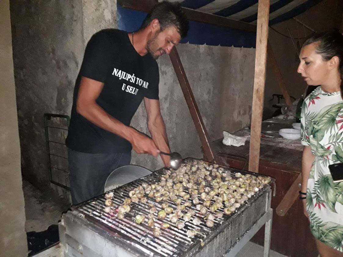 Dandy Daire Povljana Dış mekan fotoğraf